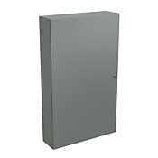 Корпус: 60 x 36 x 10 дюймов, настенное крепление, углеродистая сталь (PN# N412603610C)