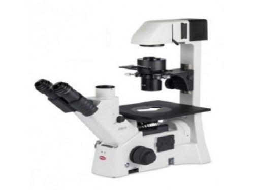 Тринокулярный микроскоп Motic AE31 Elite *НОВЫЙ* инвертированный фазово-контрастный микроскоп