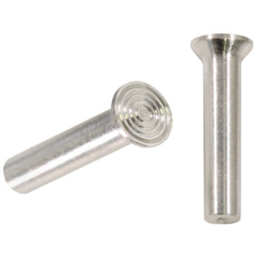 Cryo specimen pin, bullseye