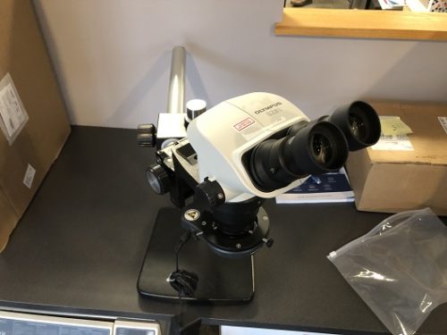 Olympus SZ61 Stereo/Dissecting Microscope