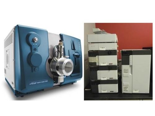 AB Sciex API 4500 с Shimadzu Prominence LC-20AD Система UFLC Система ЖХ/МС/МС