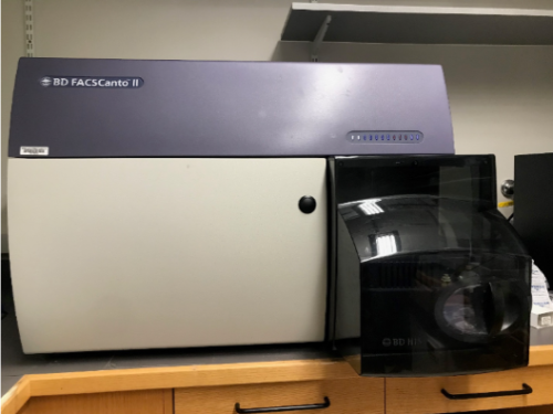 BD Biosciences FACSCanto II Flow Cytometer