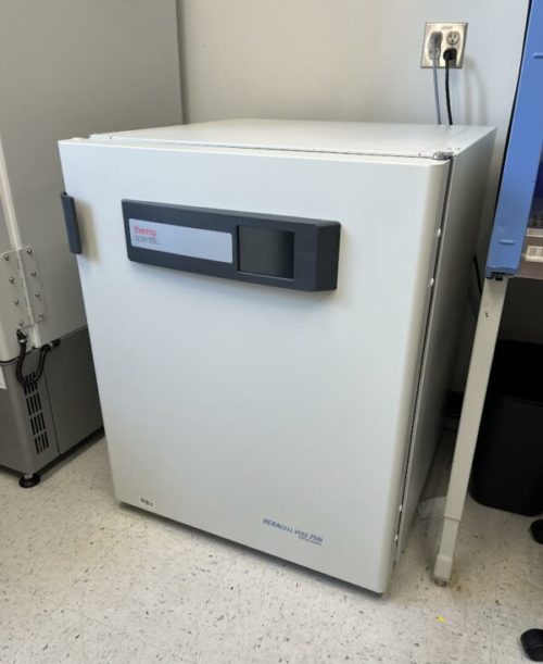 Thermo Scientific Heracell vios 250i CO2 Incubator