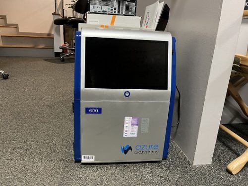 Система визуализации Azure Biosystems Azure 600 Gel
