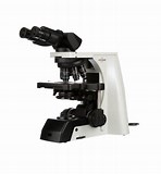 Accu-Scope Тринокулярный микроскоп Accu-Scope EXC-500 *НОВЫЙ* составной микроскоп