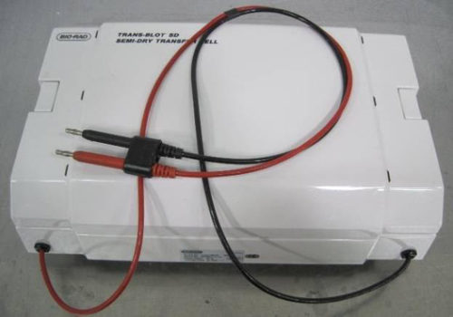 Полусухая ячейка для переноса Bio-Rad Trans-Blot SD