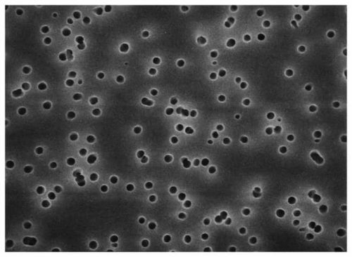 Мембранные фильтры MilliporeSigma Isopore, 5 м:Фильтры и фильтрация:Фильтрация | Фишер Сайентифик