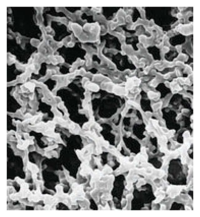 Мембранный фильтр MilliporeSigma MF-Millipore, 0,22 м:Фильтры и фильтрация:Фильтрация | Фишер Сайентифик