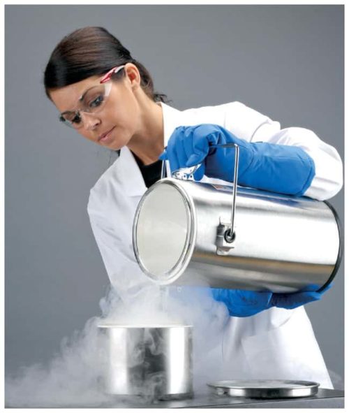 Настольные контейнеры для жидкого азота Thermo Scientific™ Thermo-Flask™
