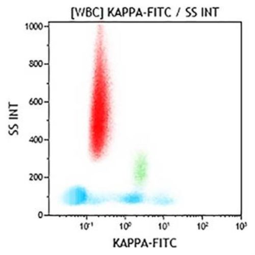 Каппа-цепь-FITC, поликлональная, F(ab')2 Goat, 2 мл, ASR