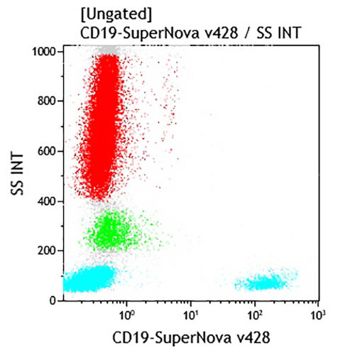 CD19-SNv428, J3-119, 0,5 мл, АСР