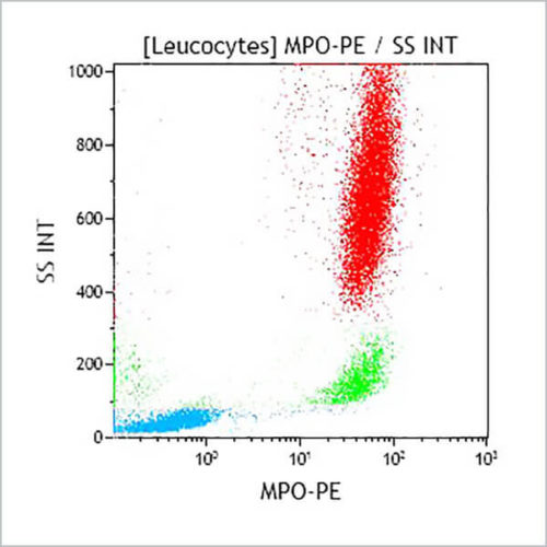 Миелопероксидаза-ФЭ, CLB-MPO-1, 2 мл, ASR