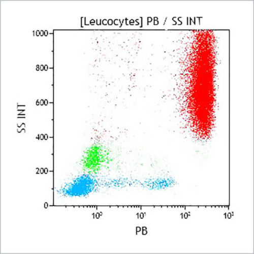 CD16-PB, 3G8, 0,5 мл, ASR