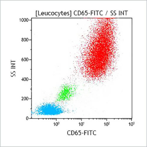 CD65-FITC, 88H7, 2 мл, ASR