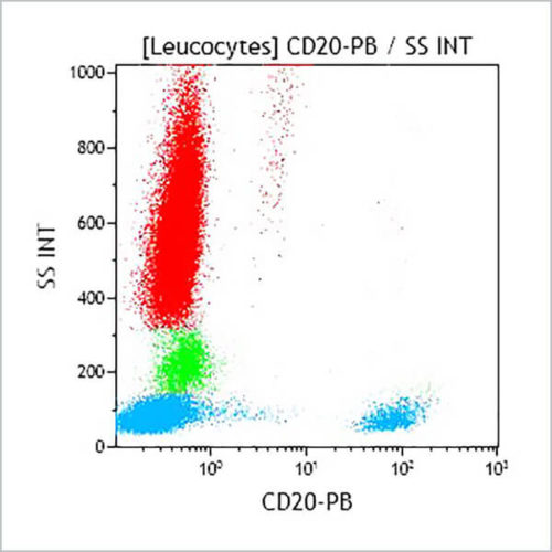 CD20-PB, B9E9, 0,5 мл, АСР