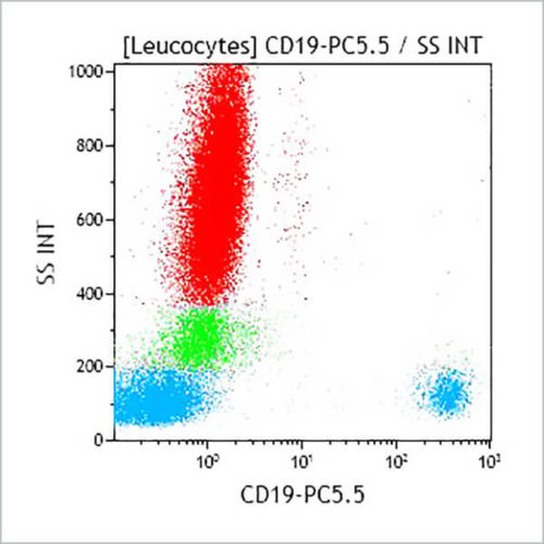 CD19-PC5.5, J3-119, 0.5 mL, ASR