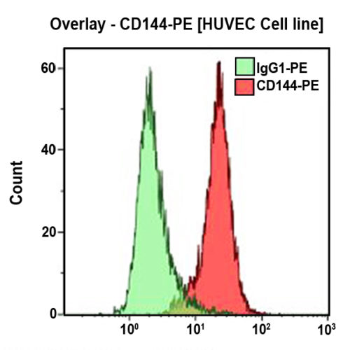 CD144-PE, TEA 1/31, 2 мл, ASR