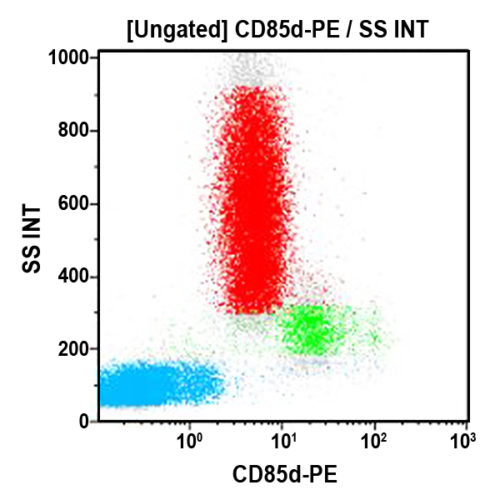 CD85d-PE, 42D1, 100 Tests, RUO