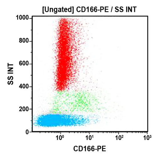 CD166-PE, 3A6, 2 мл, ASR