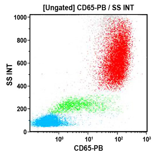 CD65-PB, 88H7, 0,5 мл, АСР