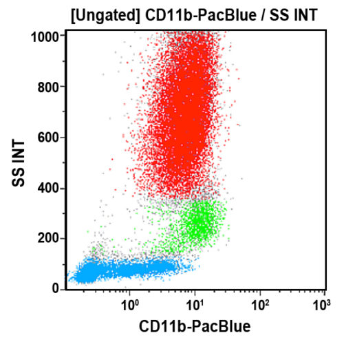 CD11b-PB, Bear1, 0,5 мл, ASR