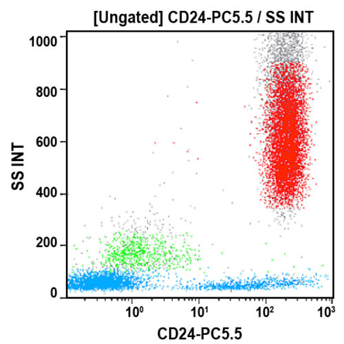 CD24-PC5.5, ALB9, 0.5 mL, ASR