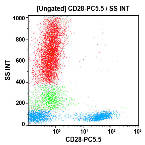 CD28-PC5.5, CD28.2, 0,5 мл, АСР