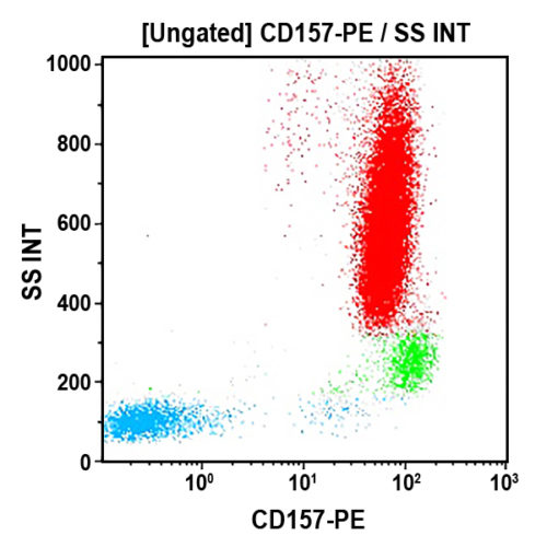 CD157-PE, SY/11B5, 1 mL, ASR