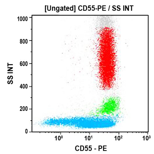 CD55-PE, JS11KSC2.3, 2 мл, ASR