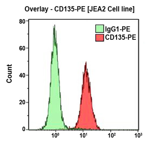 CD135-PE, SF1.340, 2 мл, ASR