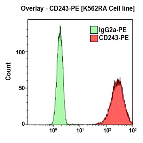 CD243-PE, UIC2, 2 мл, ASR