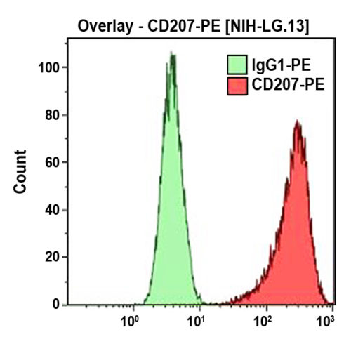 CD207-PE, DCGM4, 2 мл, ASR