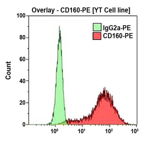 CD160-PE, BY55, 2 mL, ASR