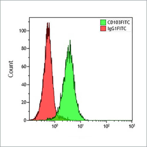 CD103-FITC, 2G5, 2 мл, ASR