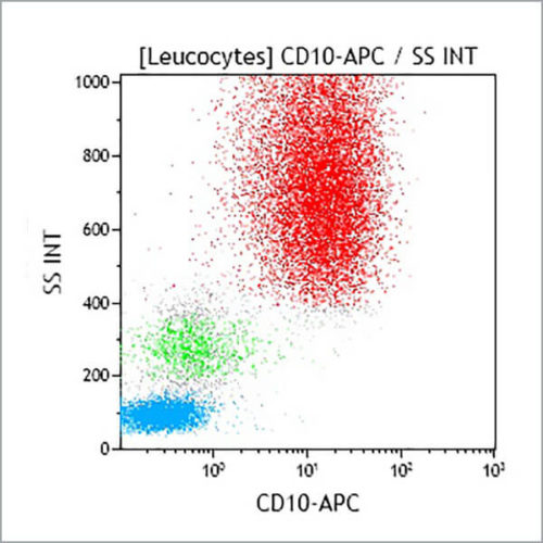 CD10-APC, ALB1, 1 мл, ASR