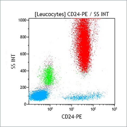 CD24-PE, ALB9, 2 mL, ASR