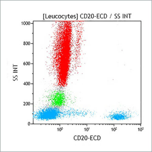 CD20-ECD, B9E9, 1 мл, ASR