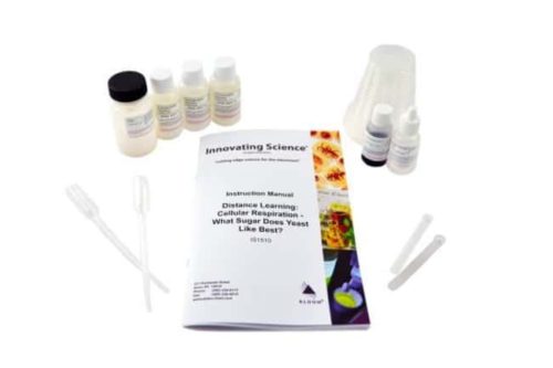 Дистанционное обучение Innovating Science™: клеточное дыхание – какой сахар больше всего нравится дрожжам