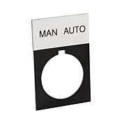 Табличка с легендой: «MAN AUTO» (PN # ECX1670A-B44)