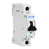 Миниатюрная дополнительная защита: 30A, кривая D (PN# FAZ-D30-1-SP)