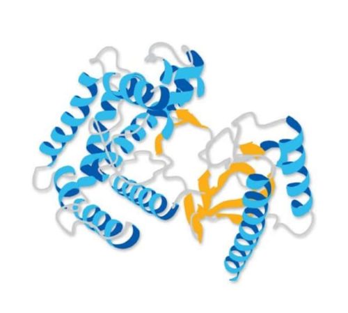 MilliporeSigma Calbiochem Complement Сыворотка, обедненная C1q, человеческий комплемент | Фишер Сайентифик