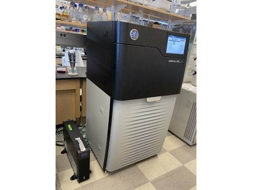 PacBio Sequel II Genome Sequencer