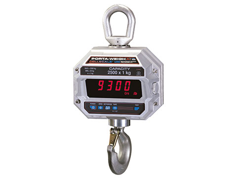 Rice Lake MSI-9300 Port-A-Weigh Plus Crane Scale