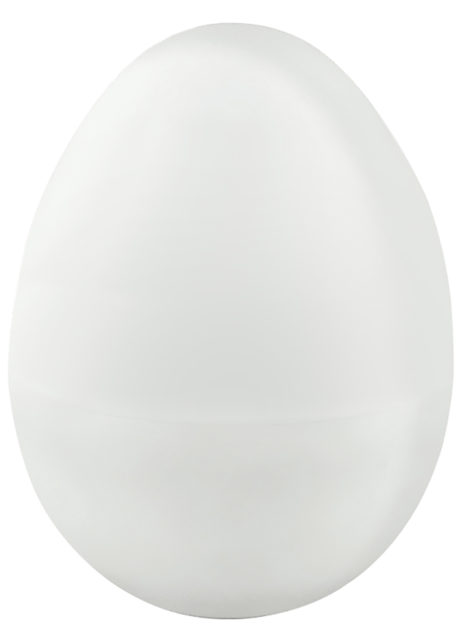 Регистратор данных MadgeTech EggTemp