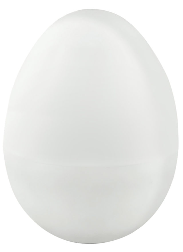 Регистратор данных MadgeTech EggTemp
