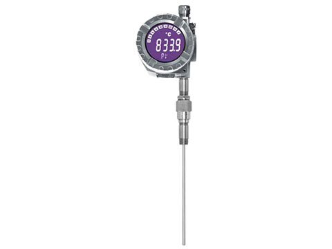 EH Omnigrad S TMT162R Pt100 Thermometer