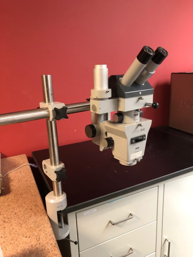 Zeiss Stemi SV8 Stereo/Dissecting Microscope — изображение 2
