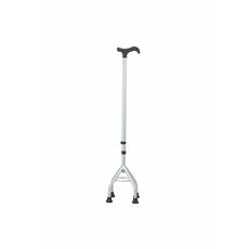 Walking Sticks