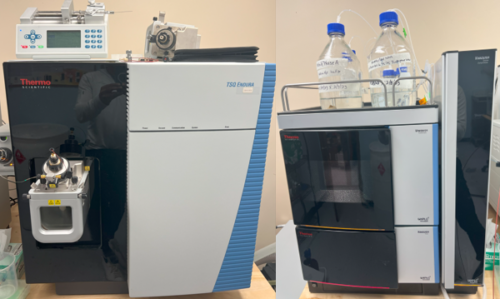 Масс-спектрометр Thermo Scientific TSQ Endura с системой УВЭЖХ ЖХ/МС/МС Thermo Vanquish Horizon