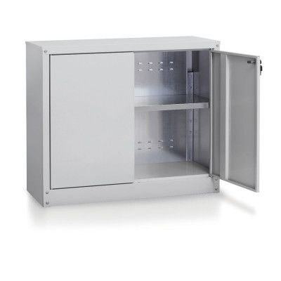 Storage cabinet E580panelshelfwith swing doors